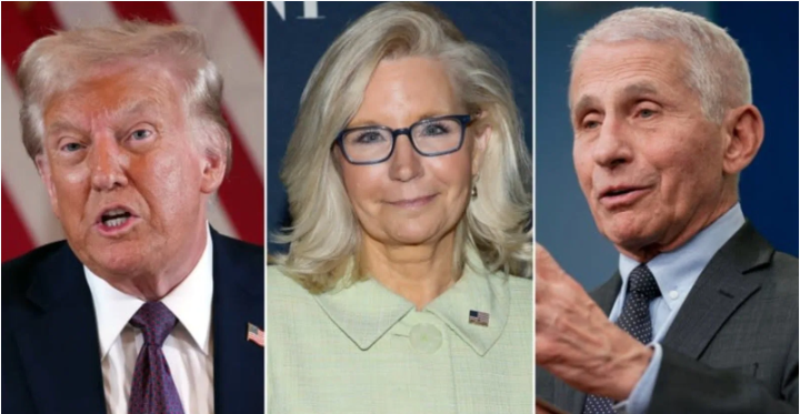 JUST IN: Former President Joe Biden's Pardons Of Liz Cheney, Anthony Fauci, Gen. Milley Could BACKFIRE - Biden Pardons 0311