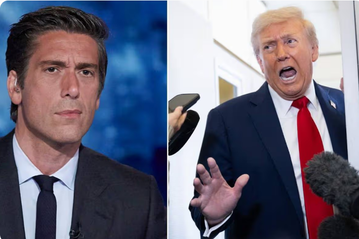 Heart-stopping moment ABC’s David Muir drops TRUTH bomb on Trump—what he just revealed will leave you SHAKEN hot-0311