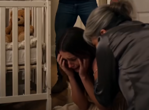 "You Stole My Son!" She Attacked Me in the Nursery. What My Husband Did Next Ended Her Reign of Terror.