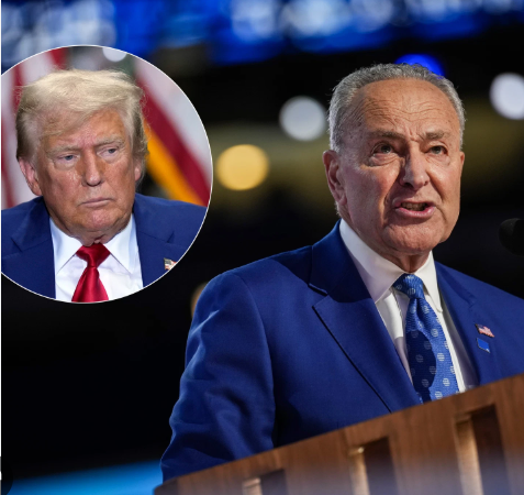 Democrats Turn on Chuck Schumer, Side With Republicans to Hand Donald Trump Another Victory