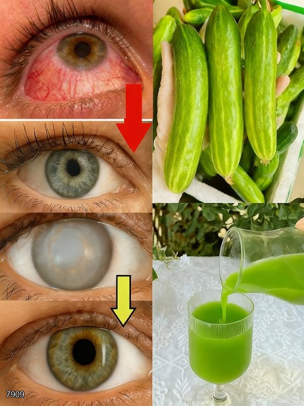 What Your Optometrist Won’t Tell You – sc