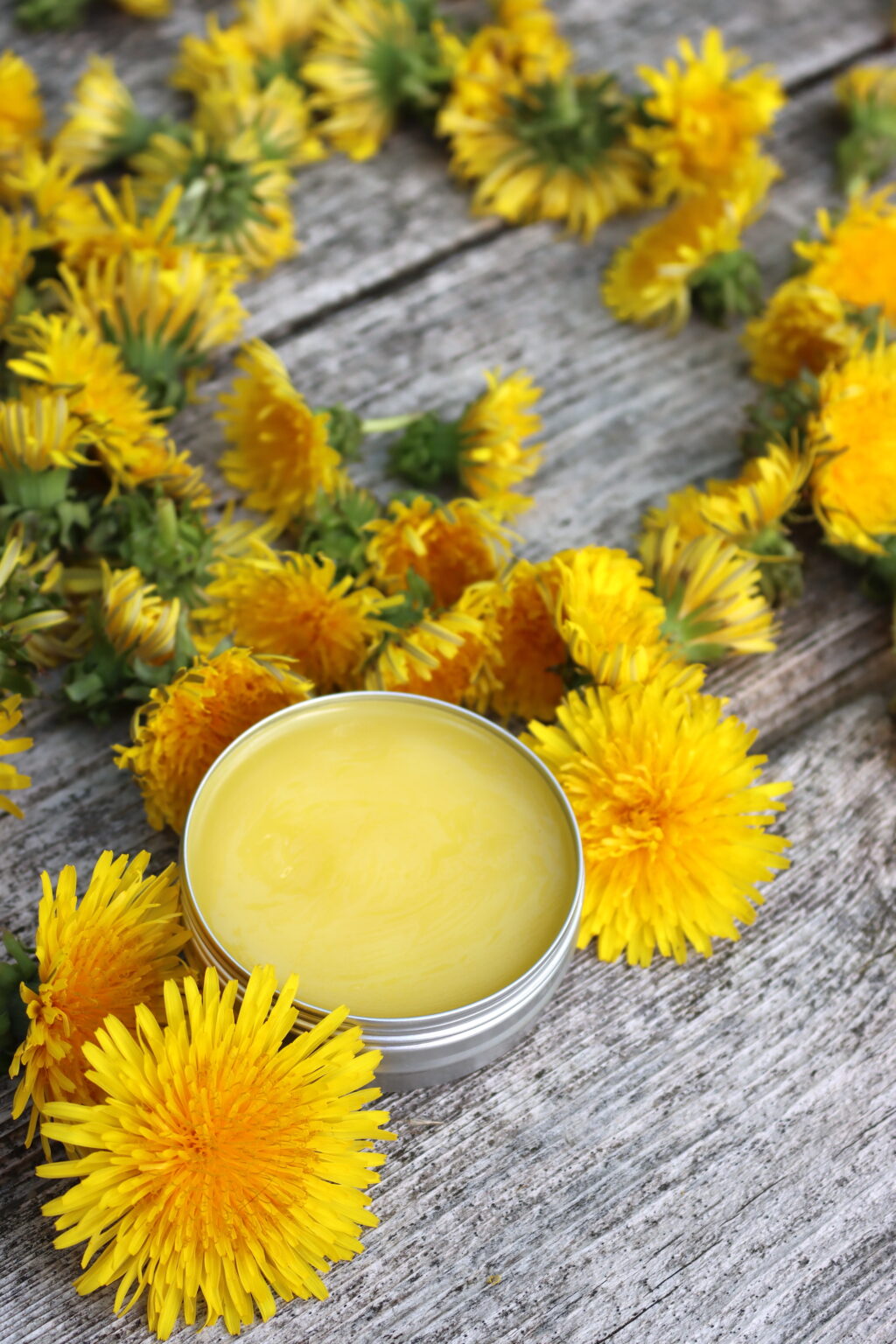 Dandelion salve is a simple, old fashioned herbal remedy that helps soothe dry, irritated skin while protecting it from wind, weather, and everyday wear and tear 🌼🌼sn