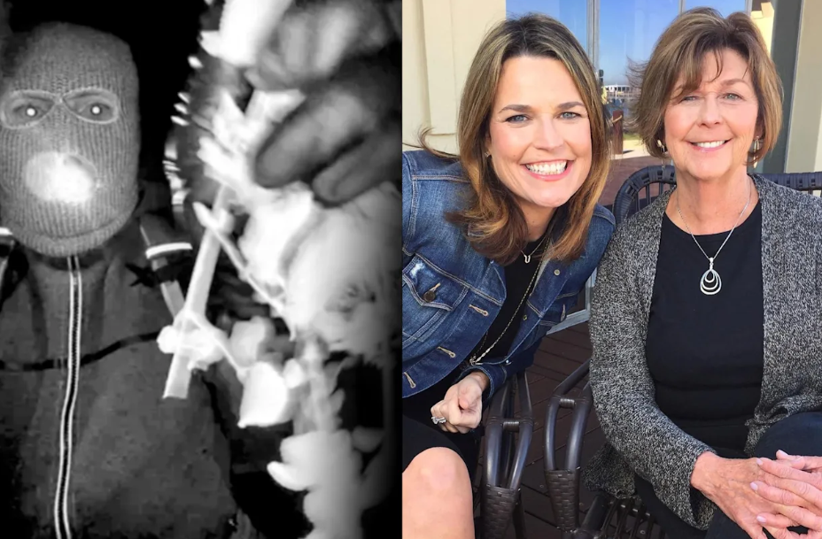 A MOTHER FOUND… A FAMILY SHATTERED: The Tragic Death of Nancy Guthrie and the Shocking Arrest That Revealed a Betrayal No One Saw Coming.see moree..