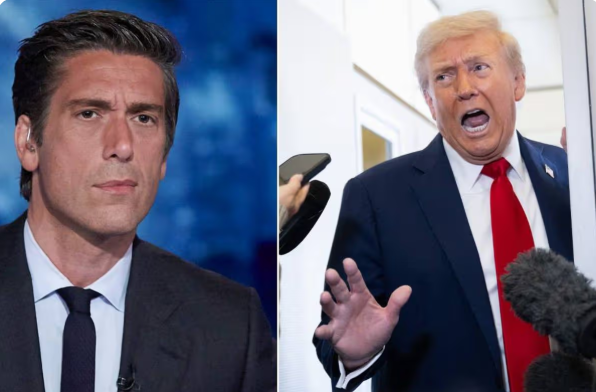 Heart-stopping moment ABC’s David Muir drops TRUTH bomb on Trump—what he just revealed will leave you SHAKEN...see moree