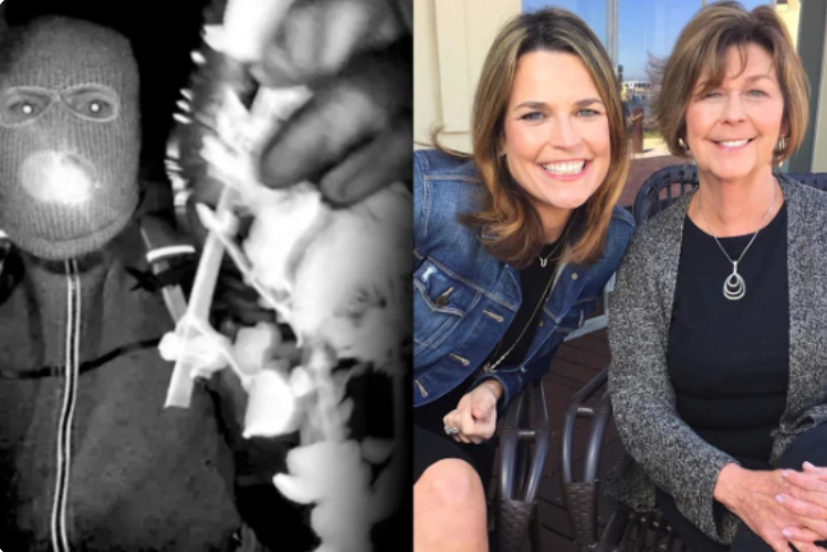 AA MOTHER FOUND… A FAMILY SHATTERED: The Tragic Death of Nancy Guthrie and the Shocking Arrest That Revealed a Betrayal No One Saw Coming .🚨”n