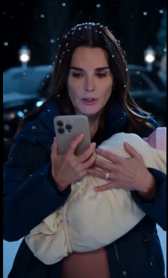 My Mother-In-Law Spat In My Face While My Husband Threw Me And My Ten-Day-Old Twin Boys Out Into The Snow. They Called Me A Gold Digger. Minutes Later, I Ordered A Freeze On The Empire They Thought Was Theirs.n