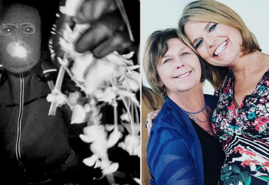 A MOTHER FOUND… A FAMILY SHATTERED: The Tragic Death of Nancy Guthrie and the Shocking Arrest That Revealed a Betrayal No One Saw Coming...seemore