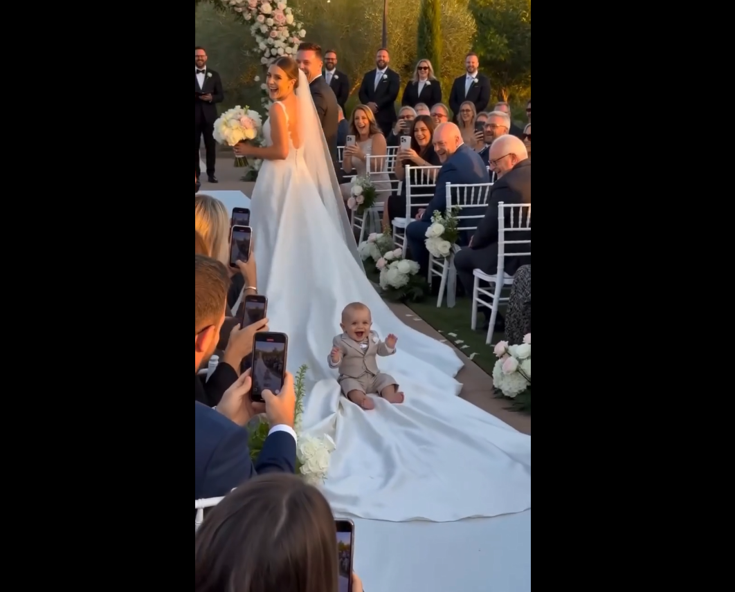 The best seat at the wedding! 🤣 This little guy found the ultimate way to travel down the aisle.