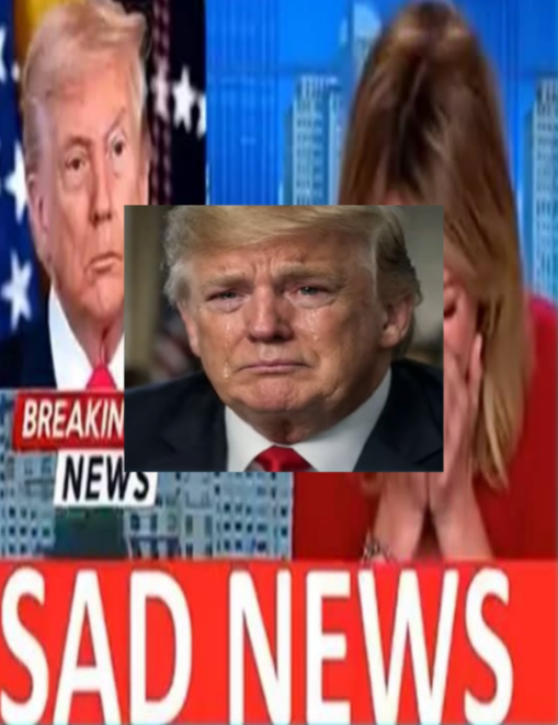 A Reflective Trump Moment Captures Attention in Washington ld