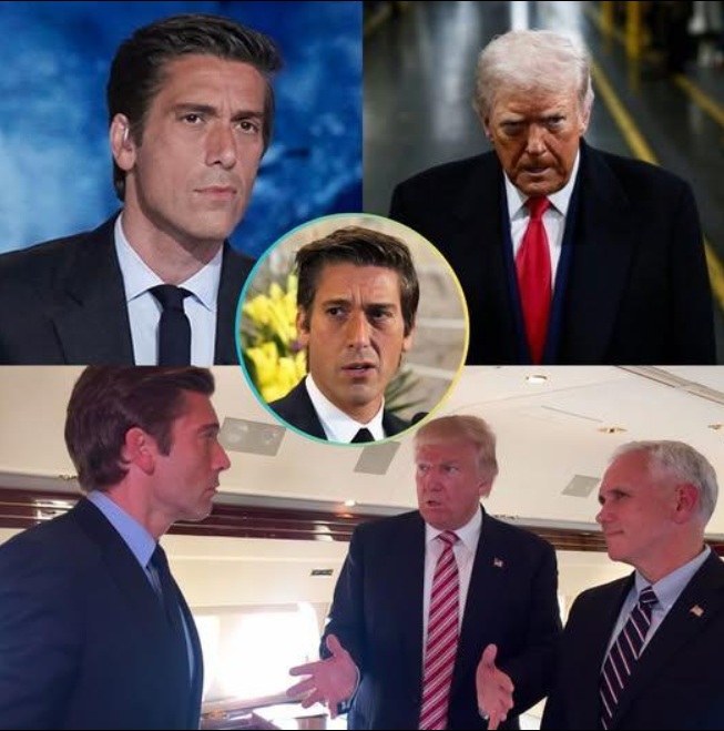Heart-stopping moment ABC’s David Muir drops TRUTH bomb on Trump—what he just revealed will leave you SHAKEN. N2