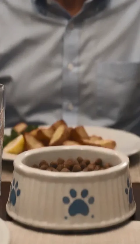 MY SON SERVED ME DOG FOOD AT MY 70TH BIRTHDAY DINNER