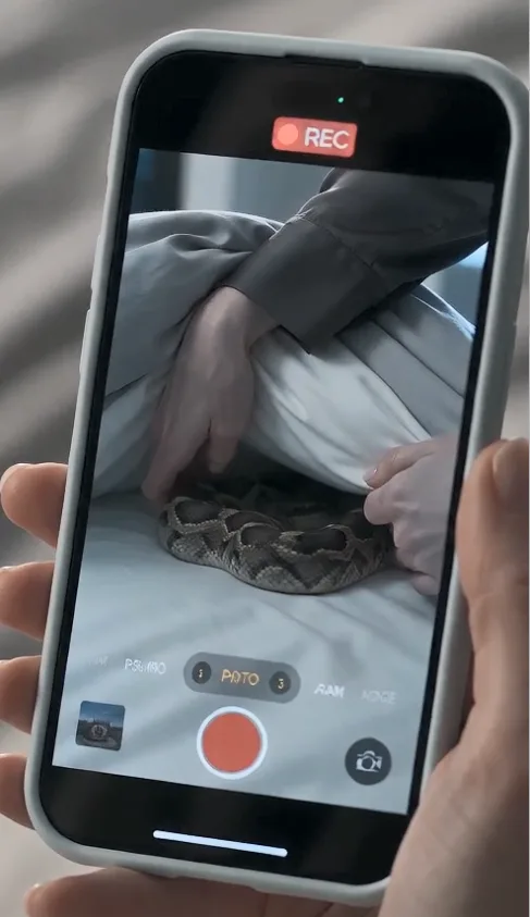 My Mother-in-Law Put a Rattlesnake Under My Sheets for $25 Million—But I Came Home Early