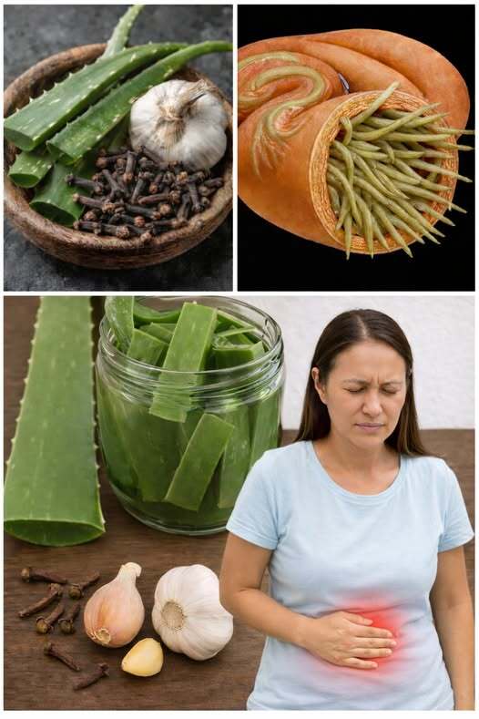 This Aloe Vera Recipe Is Stronger Than Garlic and Clove – Fights Bacteria and Fungi Naturally!