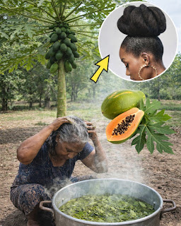 Papaya Leaf Enzyme for Hair Growth: The Truth, the Hype, and the Safer Way to Try It