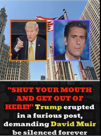 A Viral Confrontation Narrative Ignites Debate — When a Political Outburst Meets Broadcast Calm