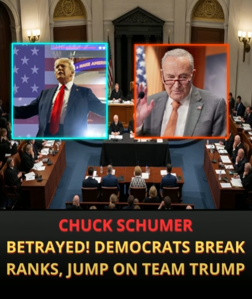 Senate Minority Leader Chuck Schumer BETRAYED - Democrats Break Ranks, Hop On the Trump Train In Humiliating Defeat