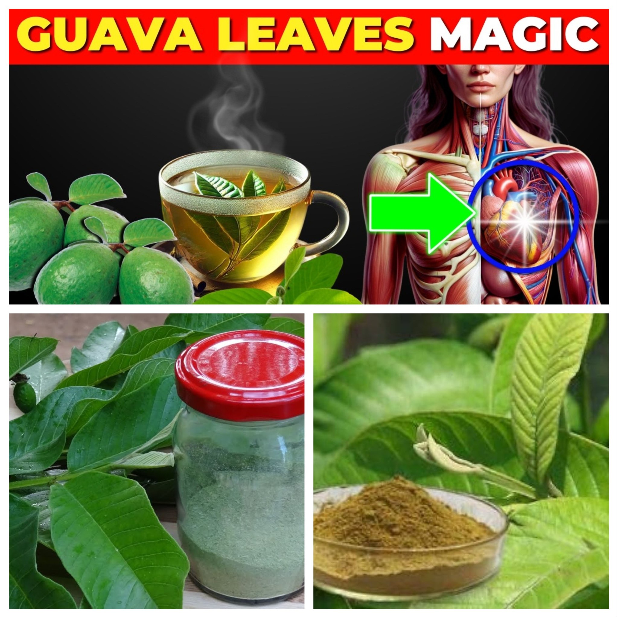 9 Diseases Cured with Guava Leaf Tea (How to make it)