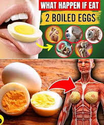 News Doctors reveal that eating hard boiled eggs in the morning causes hot