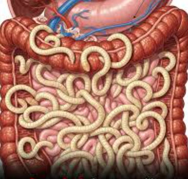 Health Alert from Doctors: These 4 foods are full