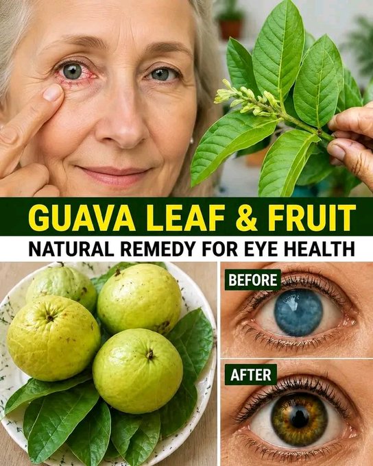 OMG How to use guava to treat eye problems — natural remedies for the eyes. To keep receiving my recipes, you just have to say something