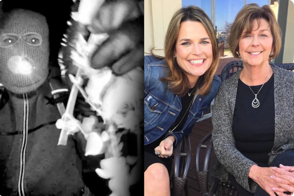 A MOTHER FOUND… A FAMILY SHATTERED: The Tragic Death of Nancy Guthrie and the Shocking Arrest That Revealed a Betrayal No One Saw Coming.k