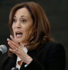 HEAD-SCRATCHING MOMENT: Kamala Harris BACK IN THE SPOTLIGHT WITH A FRAGILE IRAN ARGUMENT