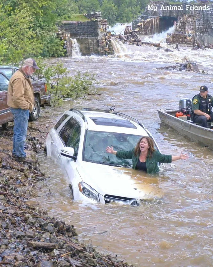 🔥 The HOA Forced Me to Demolish My Family’s 1793 Dam—They Had No Idea What Would Happen to Their 84 Homes When the River Came Back