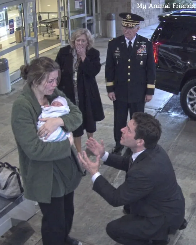 5 Days After My C-Section, My Husband Gave Me $12 to Take a Bus Home—Then One Call to My “Retired Dad” Changed His Life Forever
