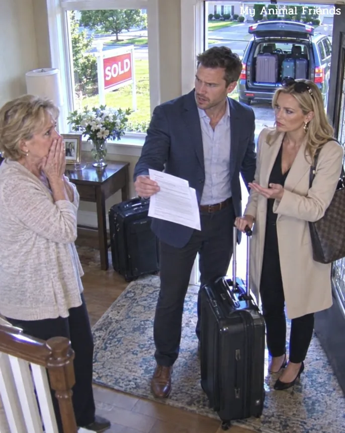My Son Sold My House, Sent Me to a Nursing Home, and Spent $180,000 on a Luxury Trip. He Came Home Smiling, Until He Saw the “Gift” I Had Prepared for Him... His Wife Fell to Her Knees, and He Begged Me to Forgive Him.