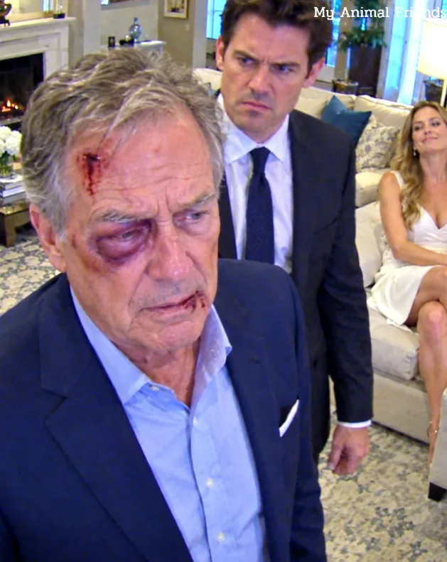 MY SON SLAPPED ME 30 TIMES IN FRONT OF HIS WIFE… THE NEXT MORNING, I SOLD THE MANSION HE THOUGHT WAS HIS, AND BY NOON, HIS PHONE WOULDN’T STOP RINGING
