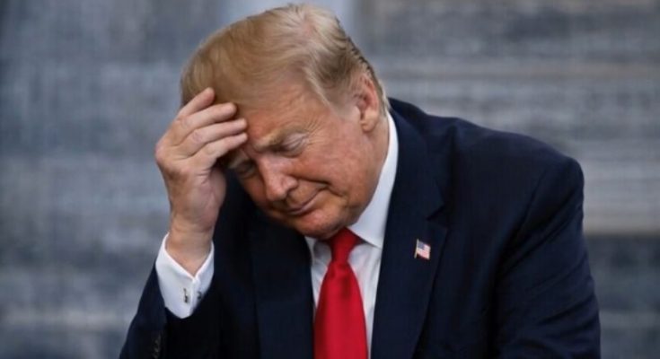 30 Minutes ago in Washington, D.C., Donald Trump was confirmed as…See More