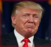omg A Reflective Moment From Donald Trump in Washington qq