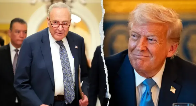 Senate Minority Leader Chuck Schumer BETRAYED - Democrats Break Ranks, Hop On the Trump Train In Humiliating Defeat
