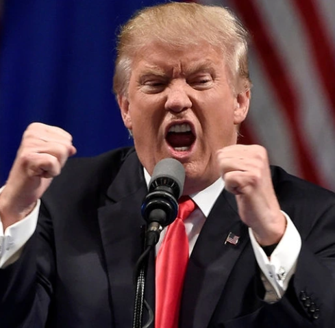 Breaking news: Trump spotted with a...See more - NXT