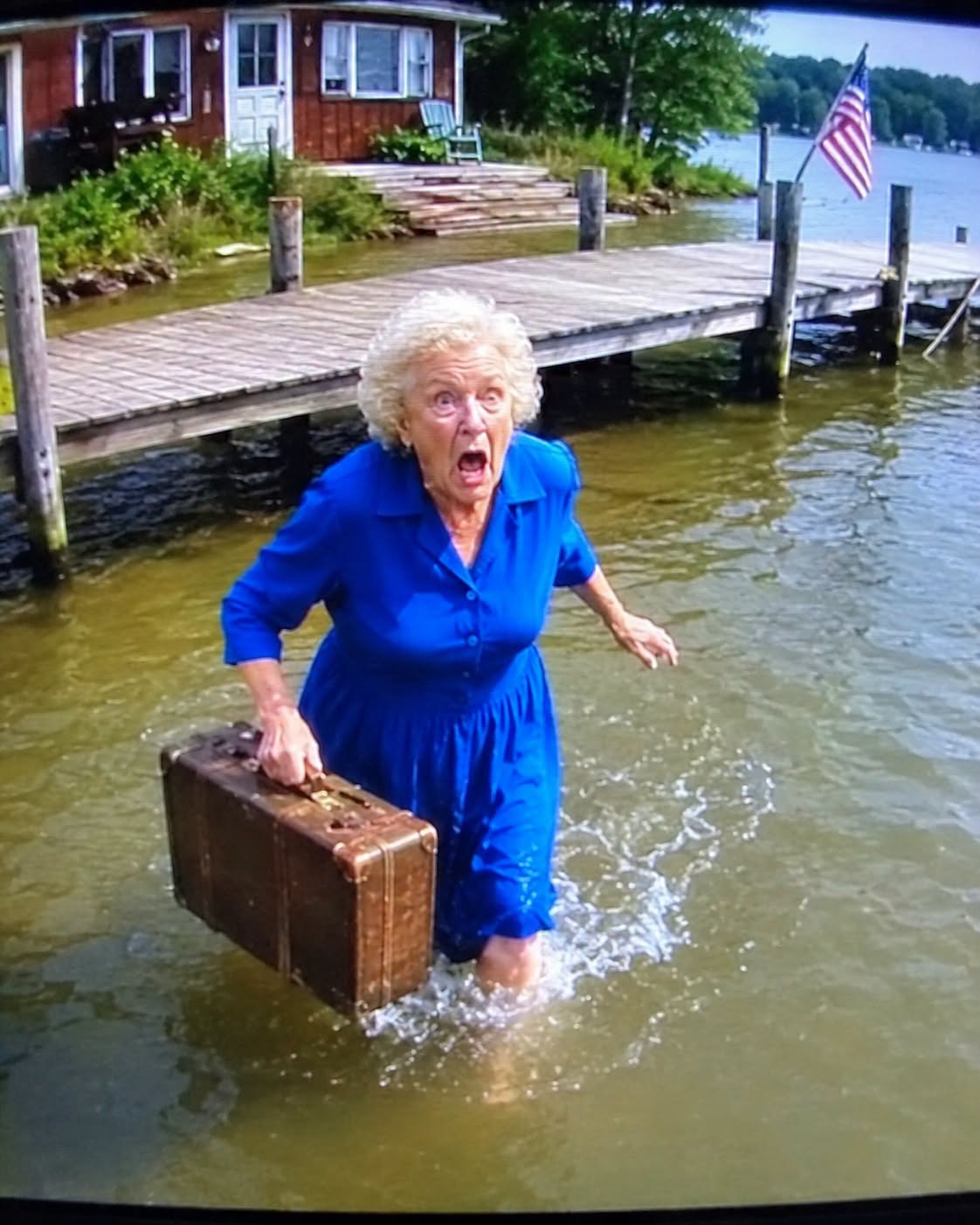 I saw my daughter-in-law quietly throw a suitcase into the lake and then drive away, but when I heard a faint sound coming from inside, I rushed down to pull it out, unzipped it, and froze — what was tucked inside made me realize a huge secret my family had been kept from for so many years.