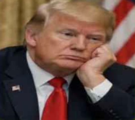 OMGG A Reflective Moment From Donald Trump in Washington w