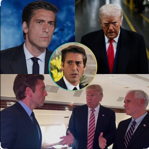 HEART-POUNDING MOMENT: David Muir DELIVERS A STUNNING REVELATION ON Donald Trump — WHAT HE JUST UNCOVERED WILL LEAVE YOU COMPLETELY SHOCKED.
