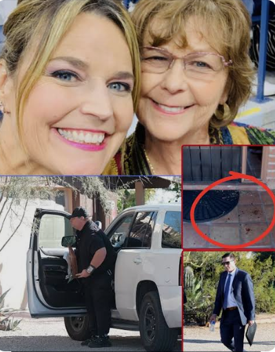 "AA MOTHER FOUND... A FAMILY SHATTERED⚡: The Tragic Death of Nancy Guthrie and the Shocking Arrest That Revealed a..".
