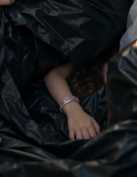 They Decorated the House for the Wrong Child's Birthday… Then I Found My Daughter in a Dumpster