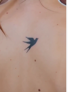 She Ripped the Bride's Dress to Humiliate Her... Then a Tiny Birthmark Revealed the Truth