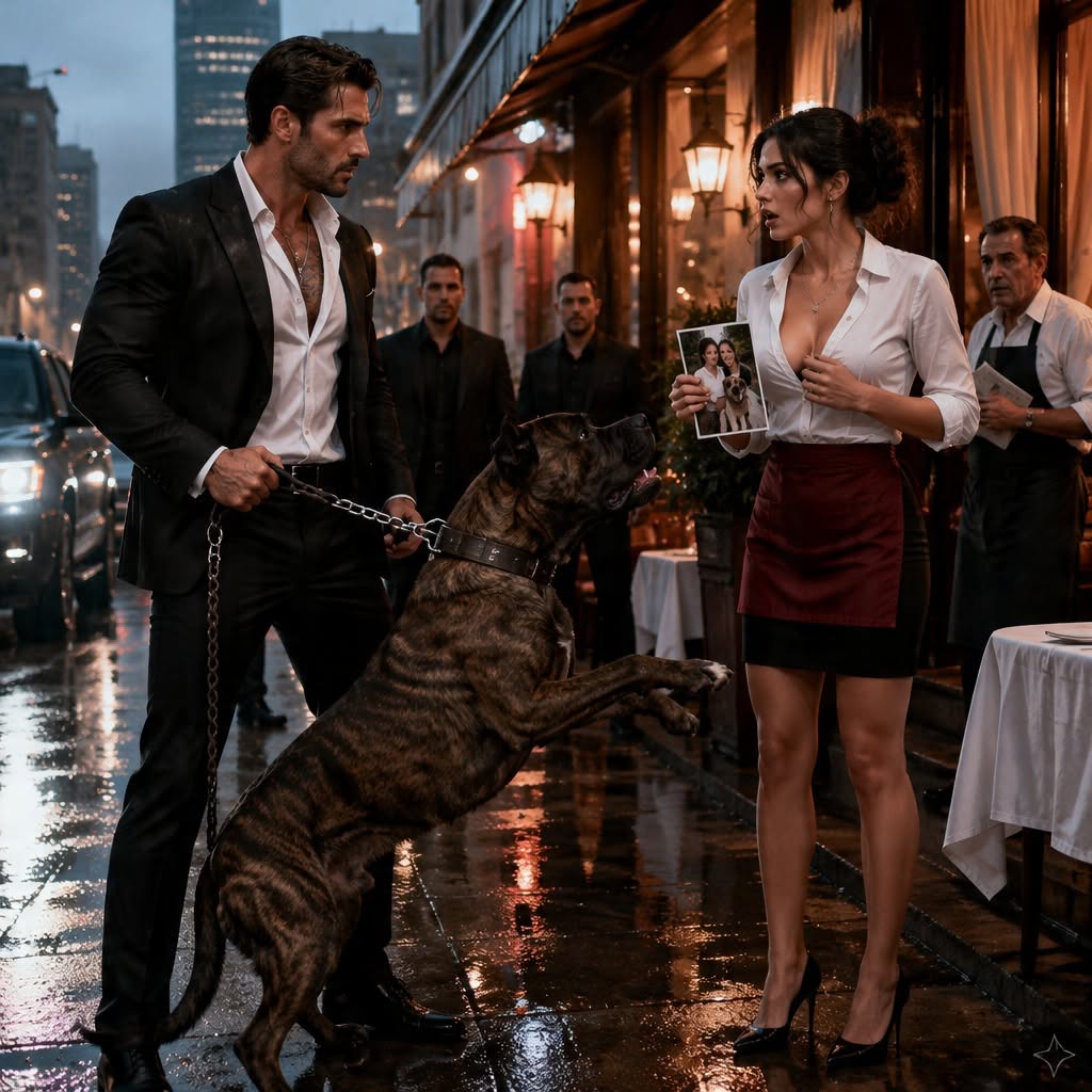 I RECOGNIZED THE MAFIA BOSS'S PITBULL AS MY STOLEN PUPPY - THEN ONE LAUGH IN HIS DINING ROOM MADE MY BLOOD TURN COLD