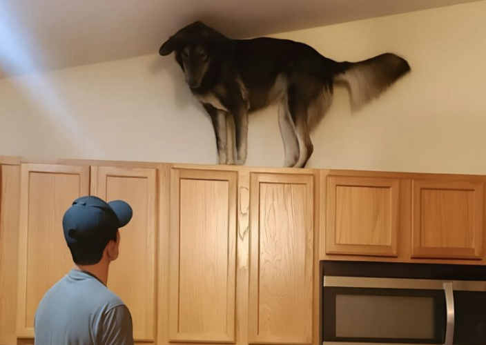 🚨 HE CLIMBED THE CABINETS TO SAVE MY LIFE: THE VENTILATION SECRET THAT UNRAVELED MY WHOLE EXISTENCE 🚨