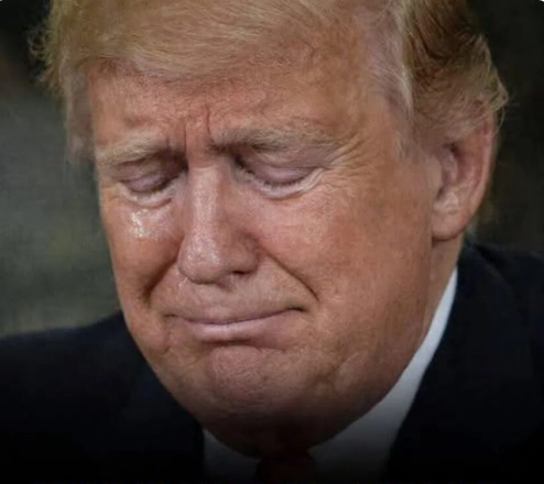 A Reflective Moment From Donald Trump in Washington