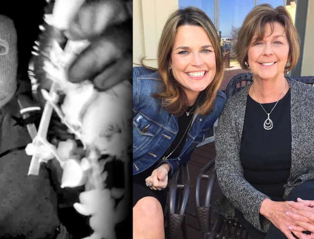 A MOTHER FOUND… A FAMILY SHATTERED: The Tragic Death of Nancy Guthrie and the Shocking Arrest That Revealed a Betrayal No One Saw Coming..aa