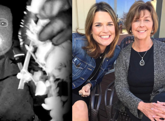 Backlash grows against police in Nancy Guthrie case after suspension revelation ..aa