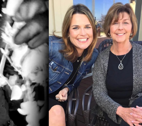A MOTHER FOUND… A FAMILY SHATTERED: The Tragic Death of Nancy Guthrie and the Shocking Arrest That Revealed a Betrayal No One Saw Coming ..1