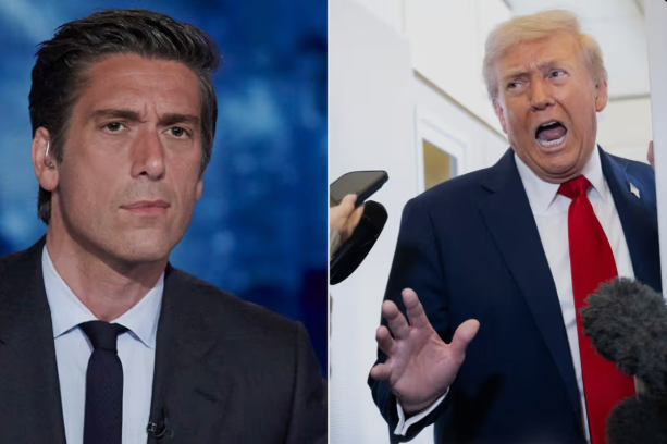 Heart-stopping moment ABC’s David Muir drops TRUTH bomb on Trump—what he just revealed will leave you SHAKEN.