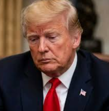 OMG ... A  A Reflective Moment From Donald Trump in Washington