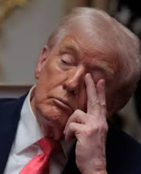 OMG A Reflective Moment From Donald Trump in Washington .me