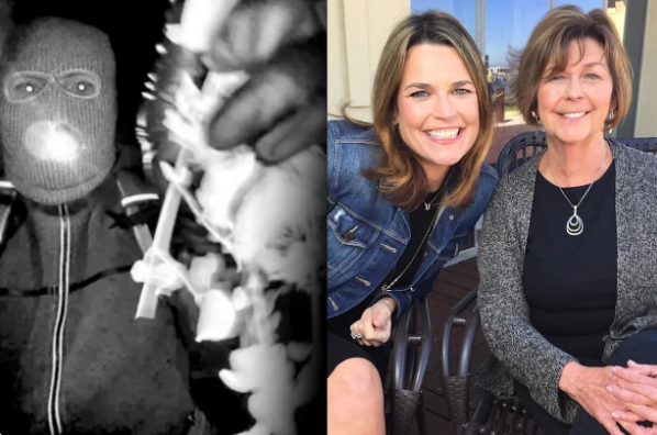 AA MOTHER FOUND… A FAMILY SHATTERED: The Tragic Death of Nancy Guthrie and the Shocking Arrest That Revealed a Betrayal No One Saw Coming...newssss